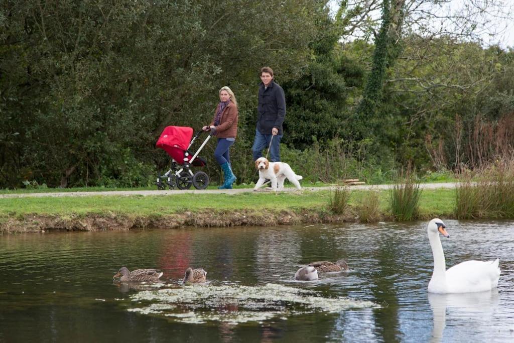 Skylark Sleeps 8 Private Hot Tub & Dogs Welcome Nr Padstow, Resort Pool Bar & Watersports St Columb Major エクステリア 写真